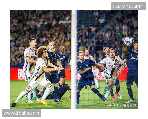 纽约城与多伦多的文化碰撞与生活方式对比探讨